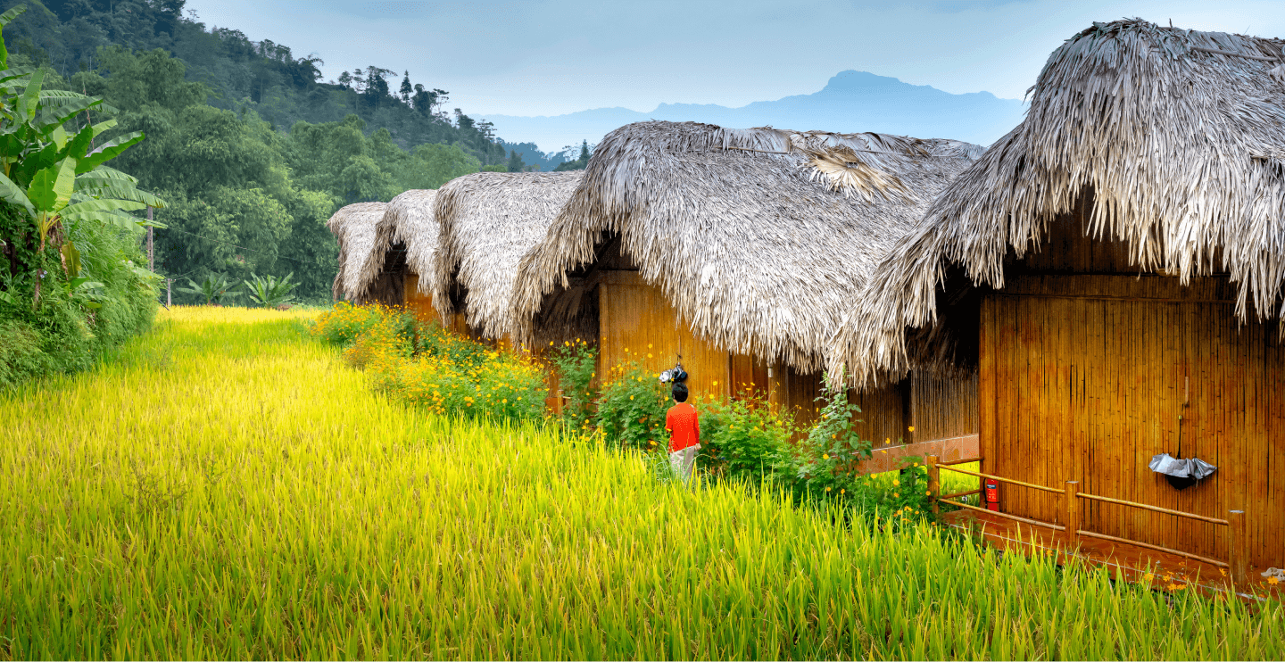 Small houses surrounded by green fields