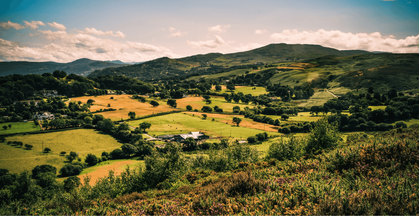 Bird's eye view of a village down the hill surrounded by green fields and forest