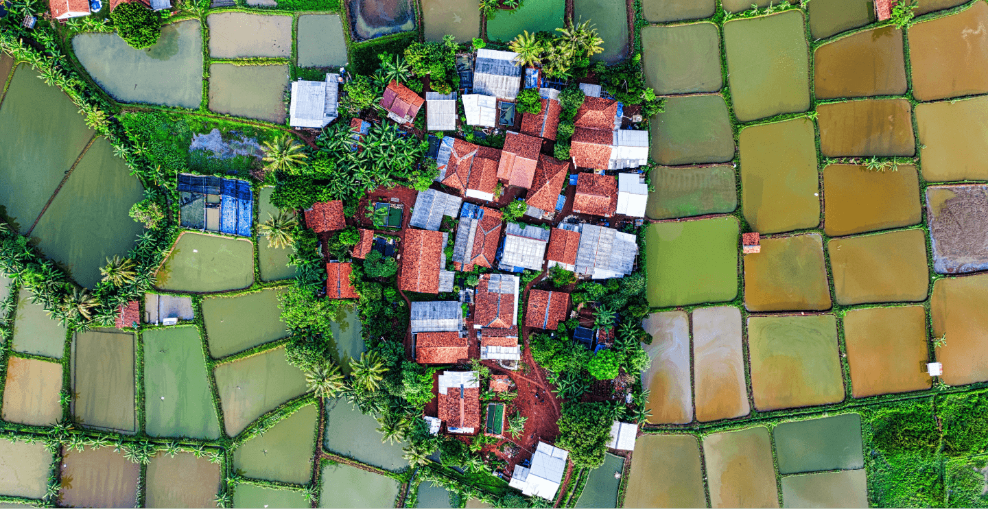 Bird's eye view of a village surrounded by green fields